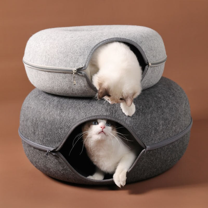 Donut Cat Cave
